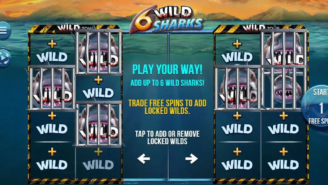 6 Wild Sharks Stats 6 Wild Sharks Stats